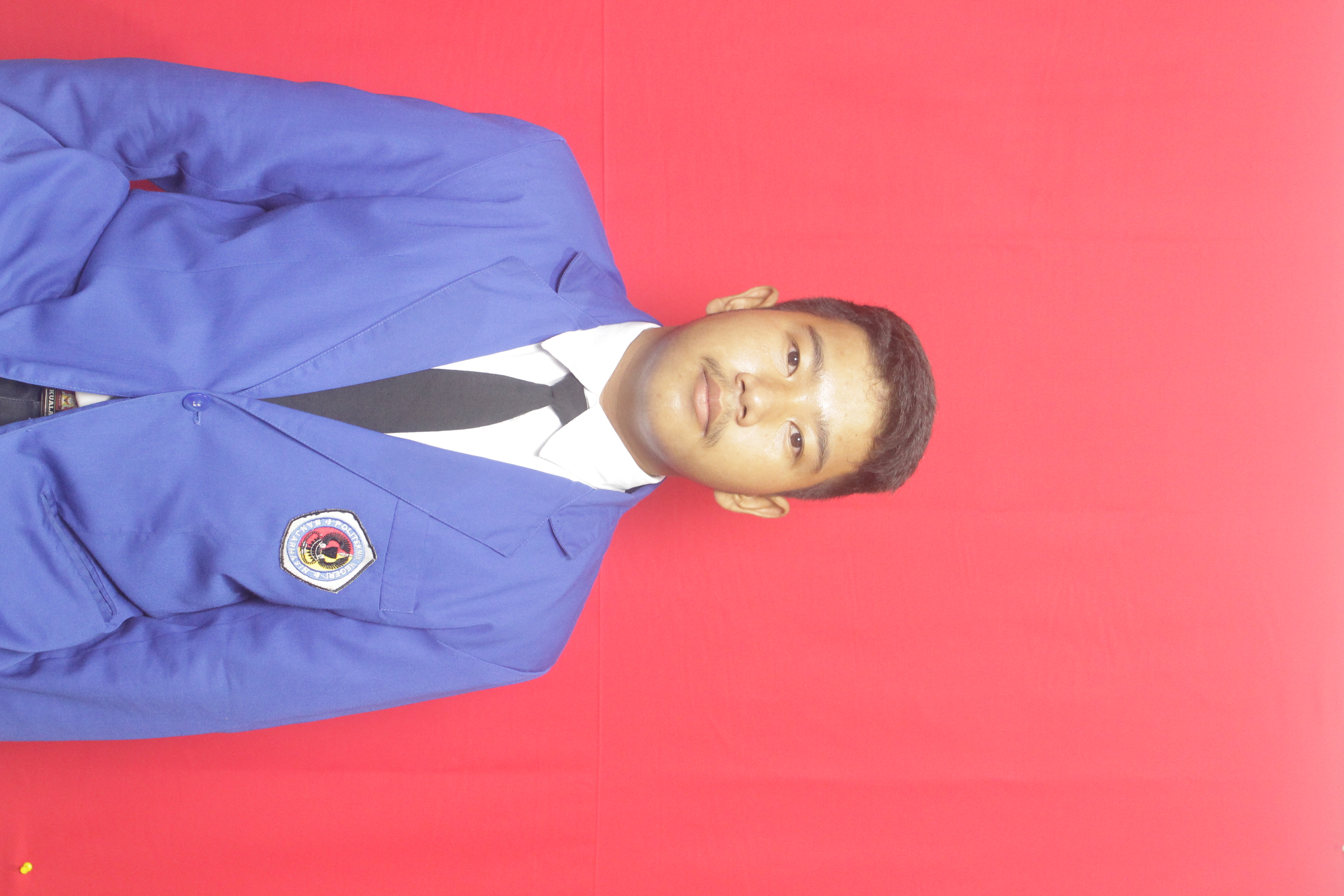 Insan